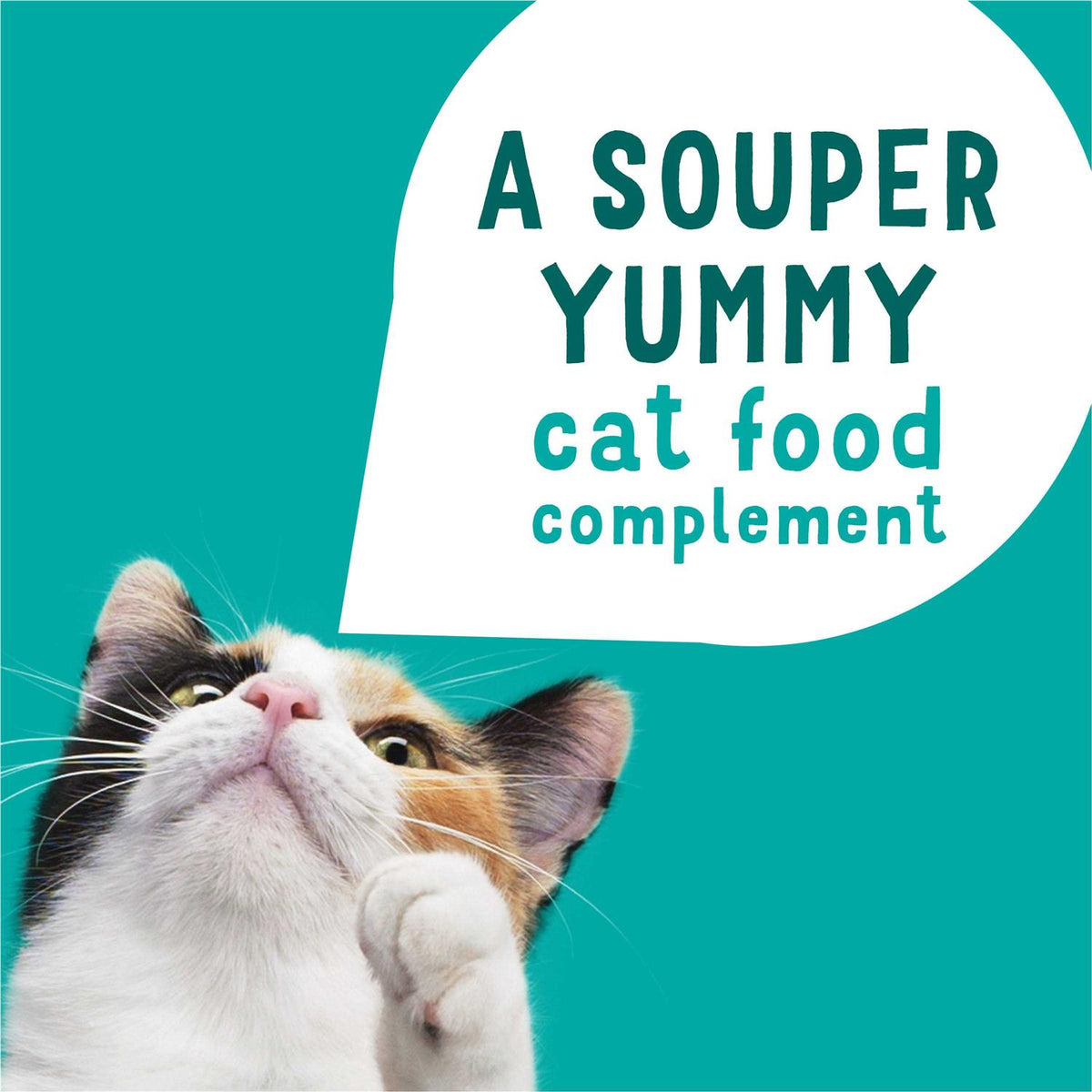 Grain Free Senior Wet Cat Food Complement Skipjack Tuna T542