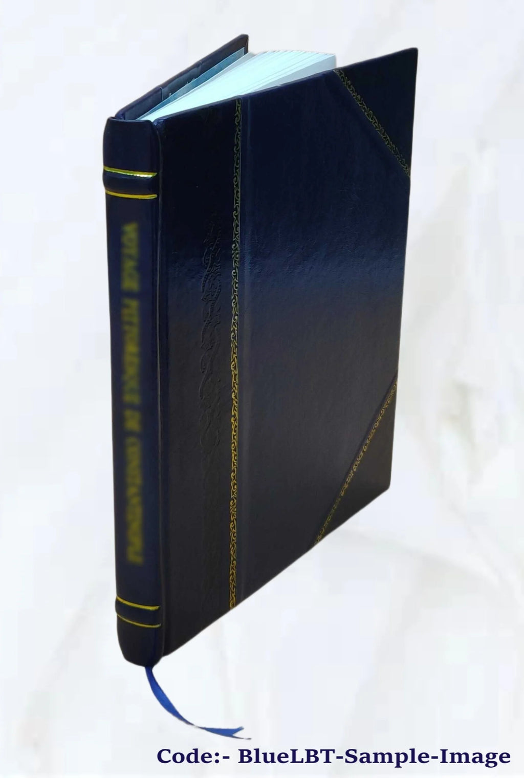 Leather Bound Book G697241