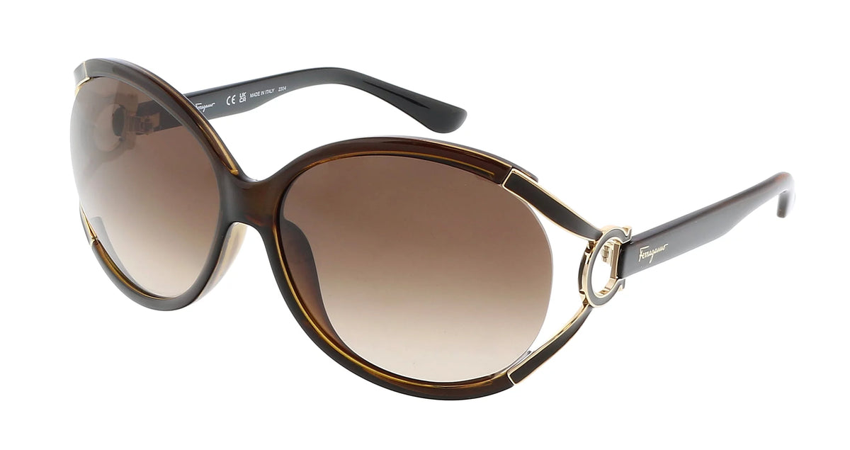 Dark Brown Oval Sunglasses E704