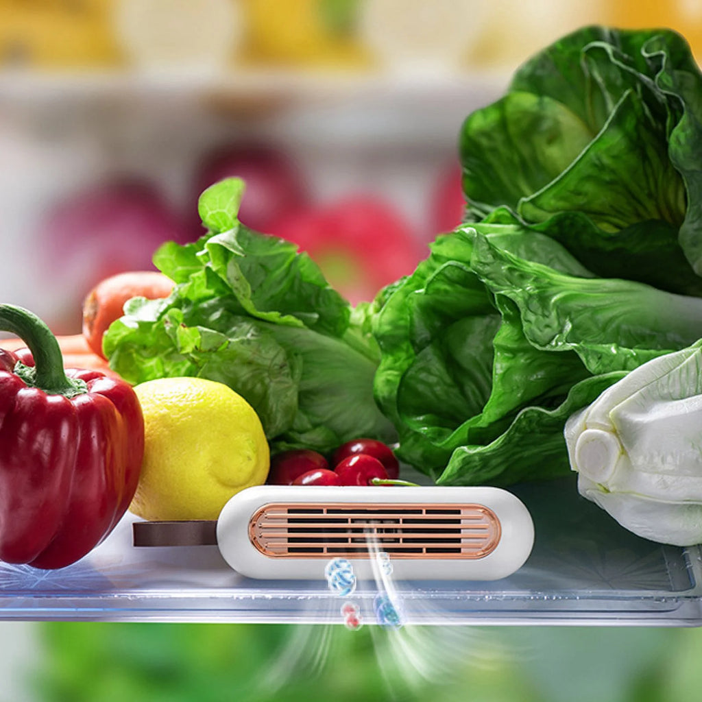 Refrigerator deodorizer P142