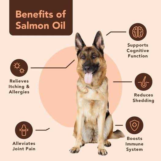 Salmon Oil for Dogs L692501