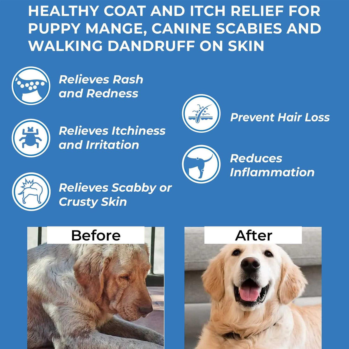 All Natural Dog Itch Relief B860