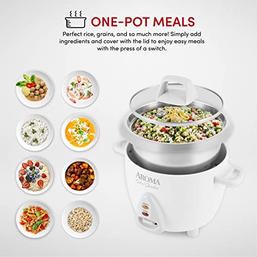 6-Cup Stainless Rice Cooker B288695