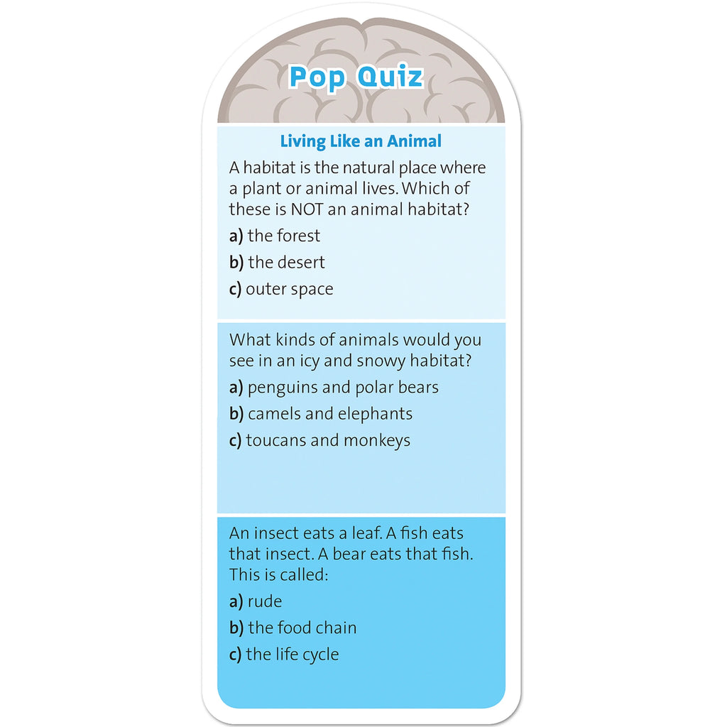 1st Grade Card Set with 120 Educational Questions, Puzzles, and Games Y3358