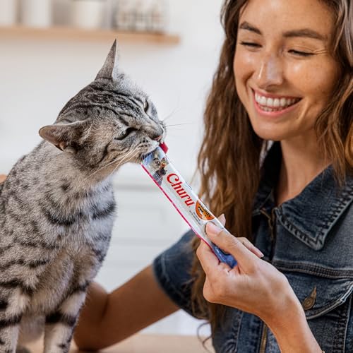Salmon Creamy Cat Treats with Green Tea Extract & Taurine, 0.5 oz, 60 Tubes W4697