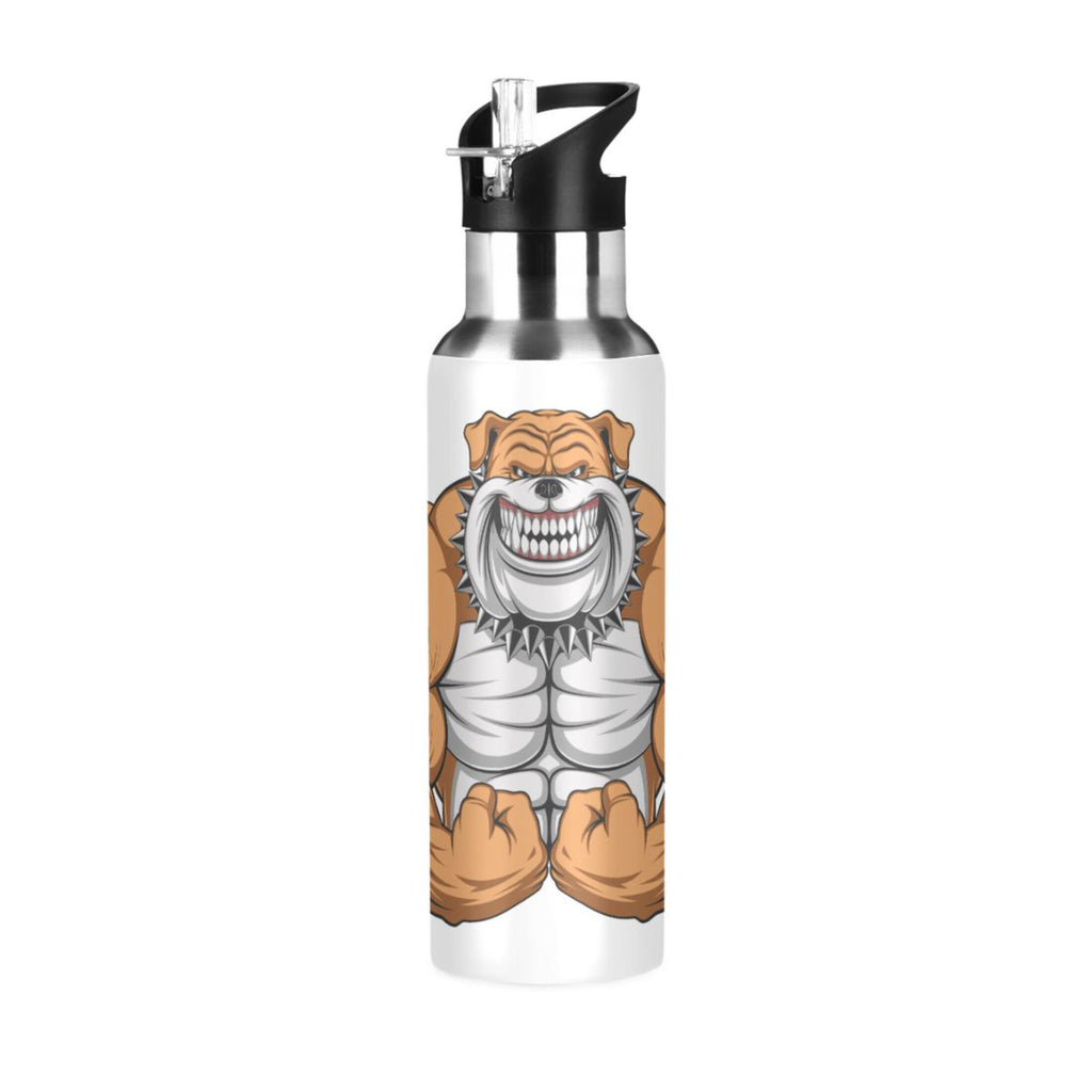Stainless Steel Insulated Water Bottle with Straw Lid F784