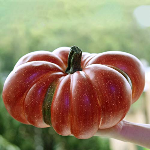 Large Artificial Pumpkin 12.6inch White Speckles J865381