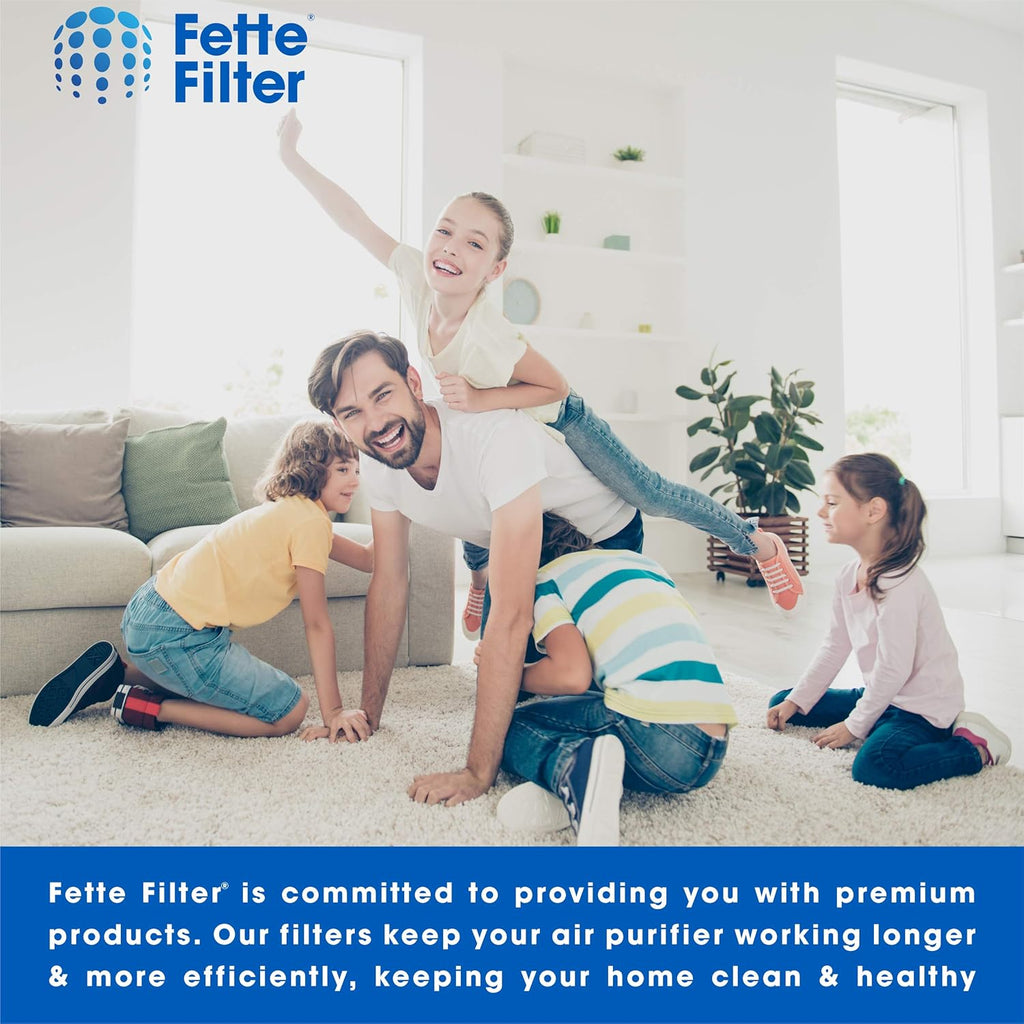 2 Hepa Filters & 8 Carbon Pre Filters Pack of 2 A4083