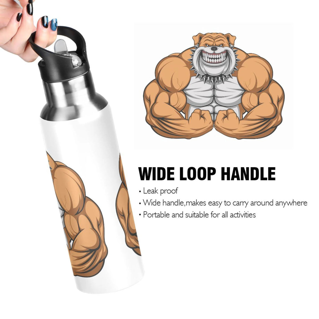 Stainless Steel Insulated Water Bottle with Straw Lid F784