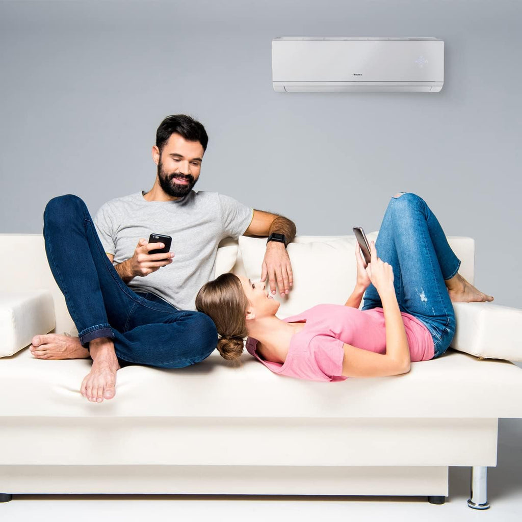 30,000 BTU Dual-Zone Mini Split Air Conditioner Heat Pump B17350