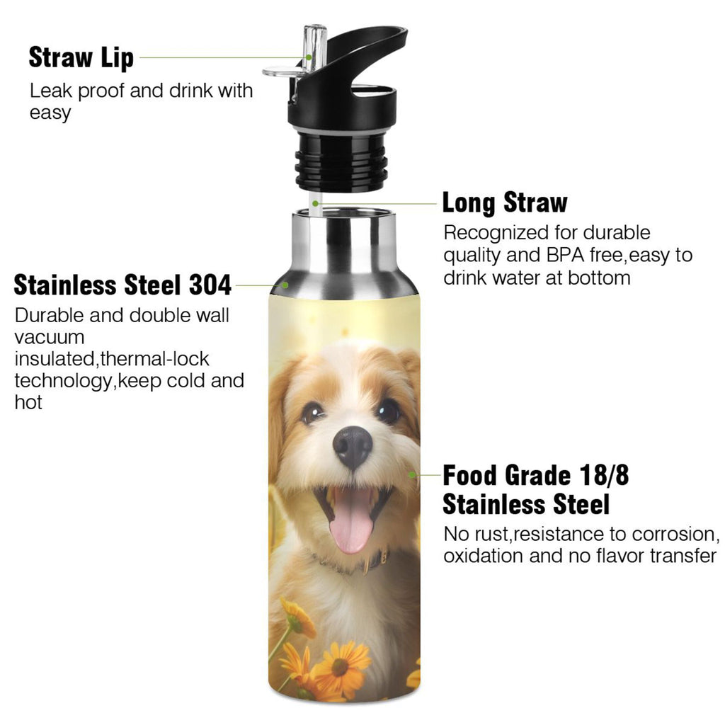 20 oz Insulated Stainless Steel Water Bottle with Straw Lid O4098