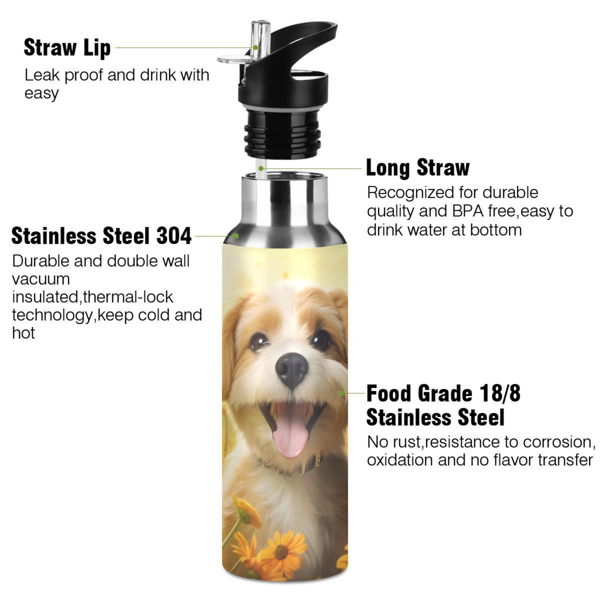 20 oz Insulated Stainless Steel Water Bottle with Straw Lid O4098
