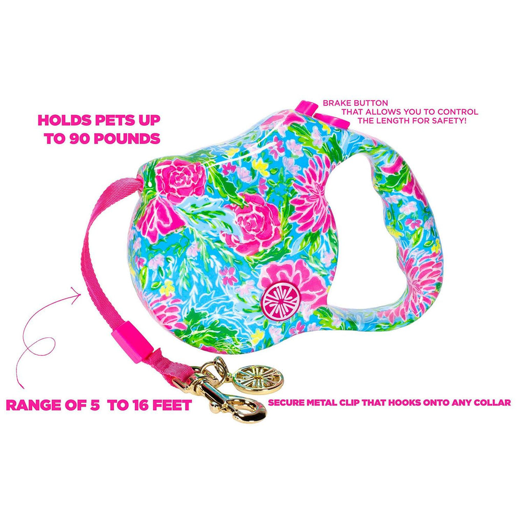 Dog Leash R4816