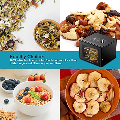 Stainless Steel Trays Food Dehydrator with Adjustable Temperature Controls H325242