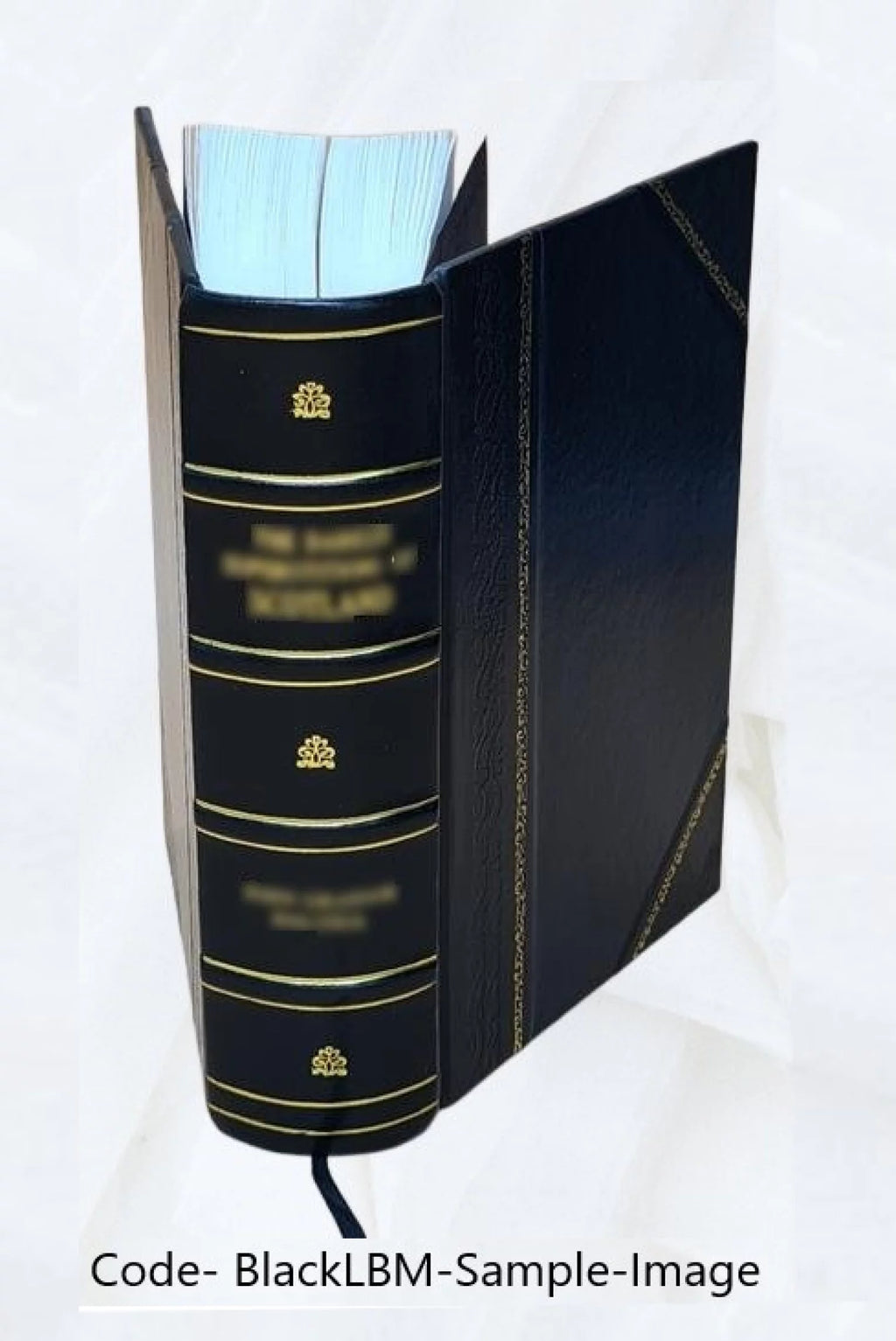 Leather Bound Book F22391