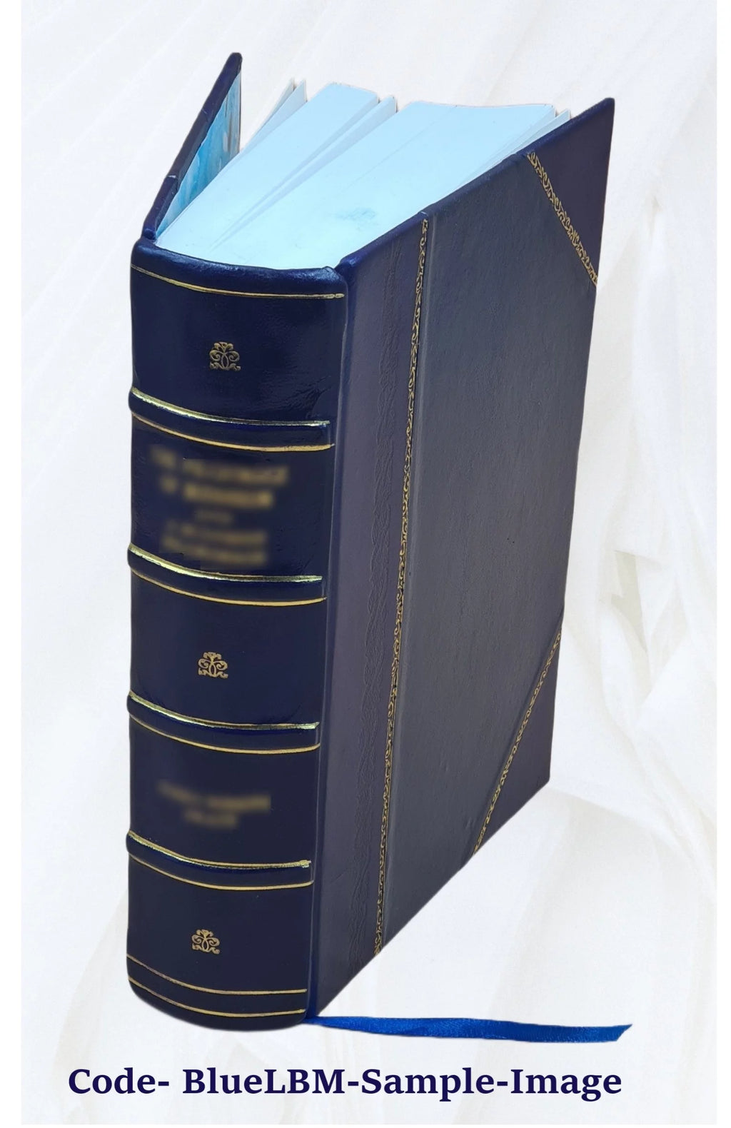 Leather Bound Book F22391