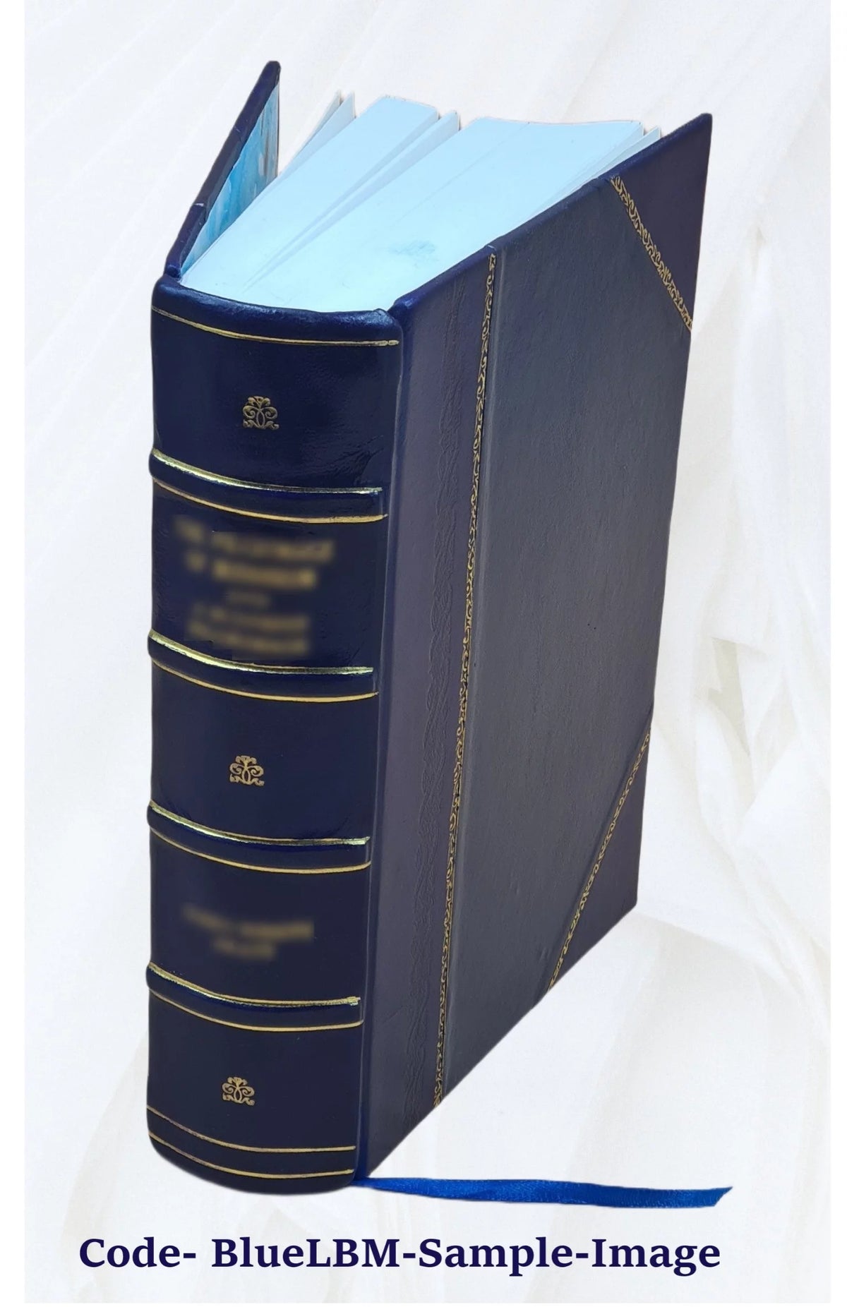 Leather Bound Book F22391