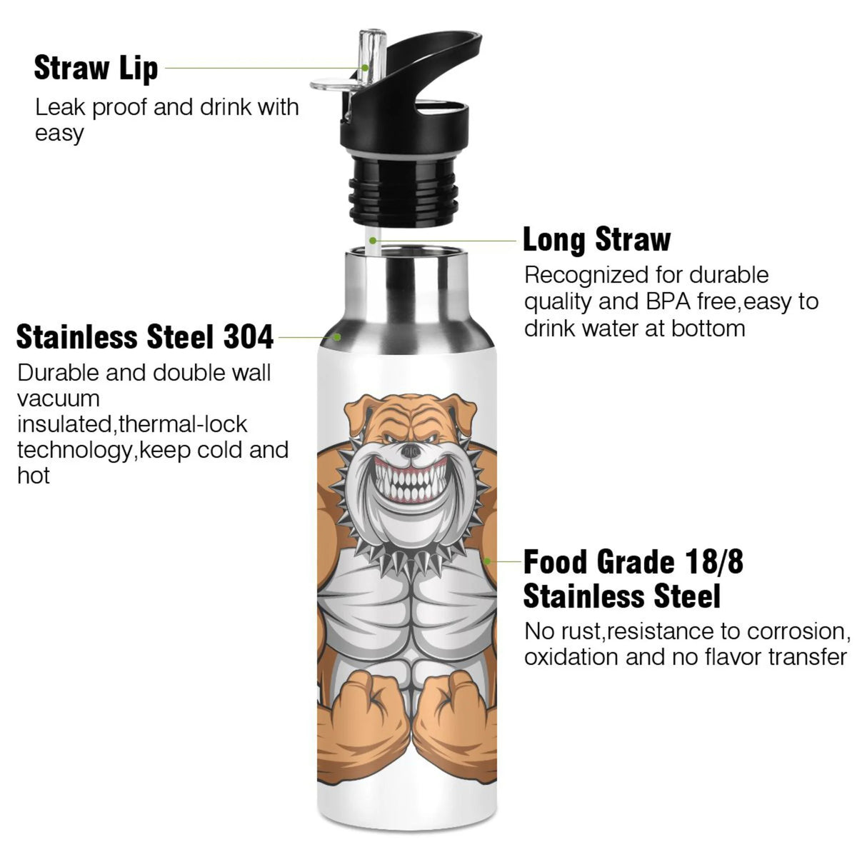 Stainless Steel Insulated Water Bottle with Straw Lid F784