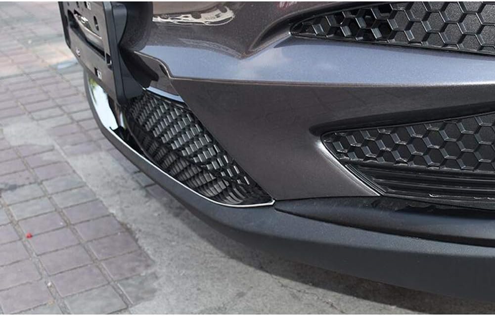 Front Grill Bumper Protector Guard Cover Trim L1658