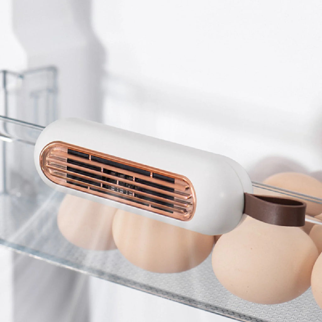 Refrigerator deodorizer P142