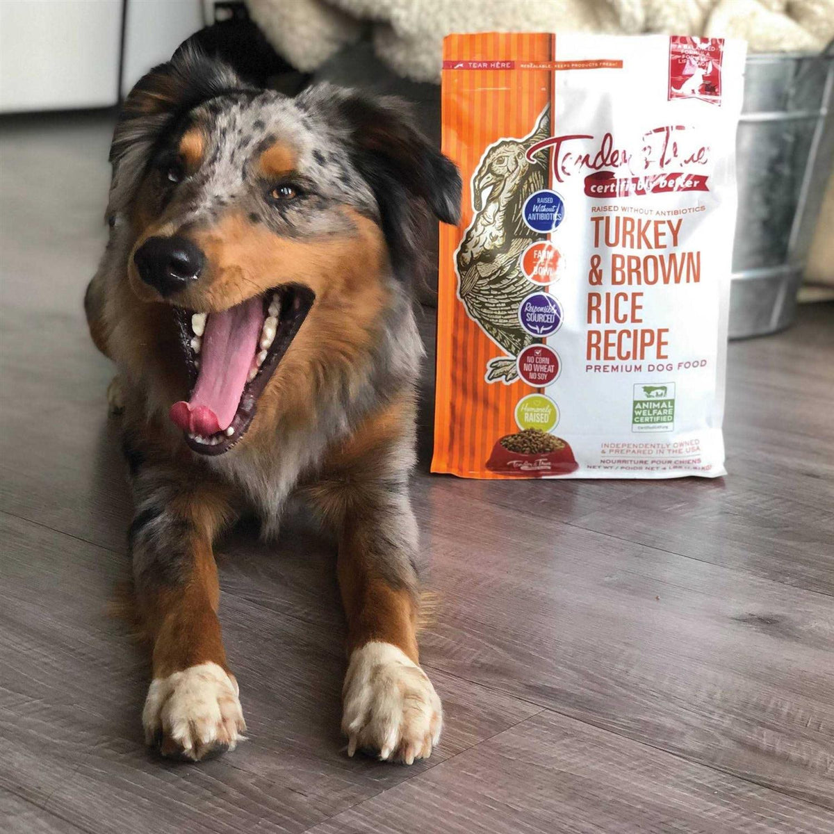 Turkey and Brown Rice Recipe Dry Dog Food X87521