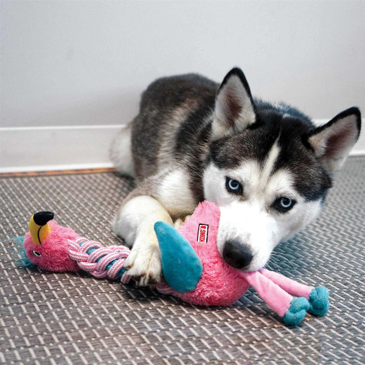 Dog Toy X383