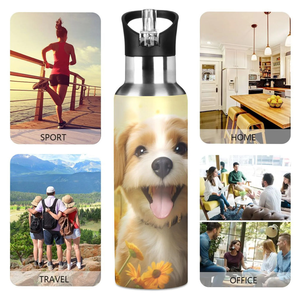 20 oz Insulated Stainless Steel Water Bottle with Straw Lid O4098