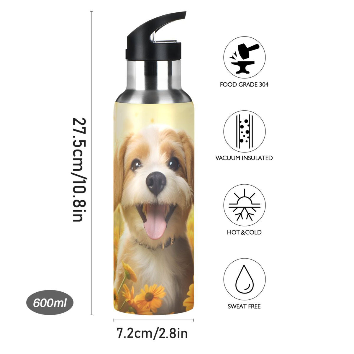 20 oz Insulated Stainless Steel Water Bottle with Straw Lid O4098