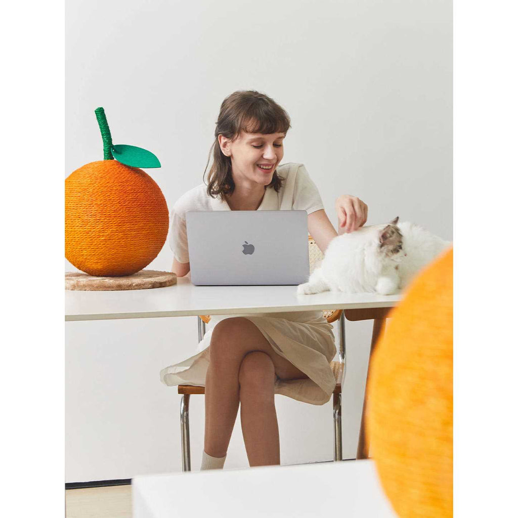 Cat Scratching Ball Toy Z8510
