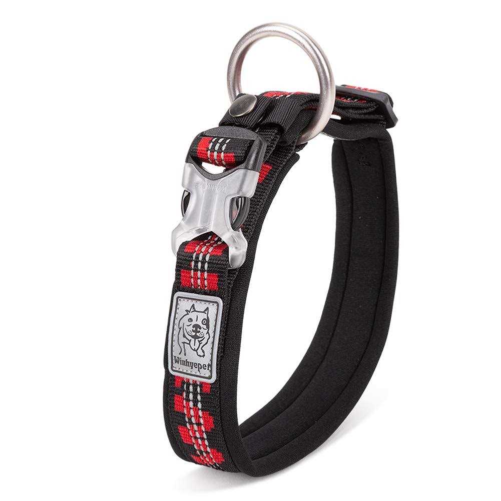 Dog Collar L341