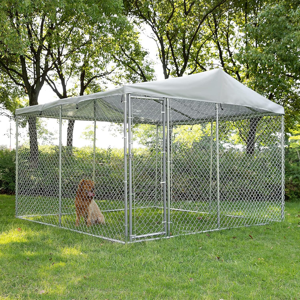 10x10 ft Extra Large Outdoor Dog Kennel with Roof F5401