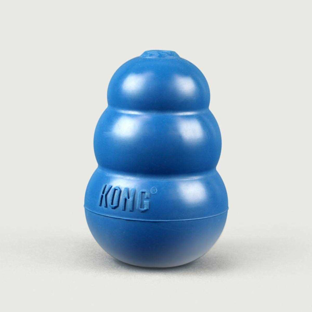 Blue Dog Toy Y8573