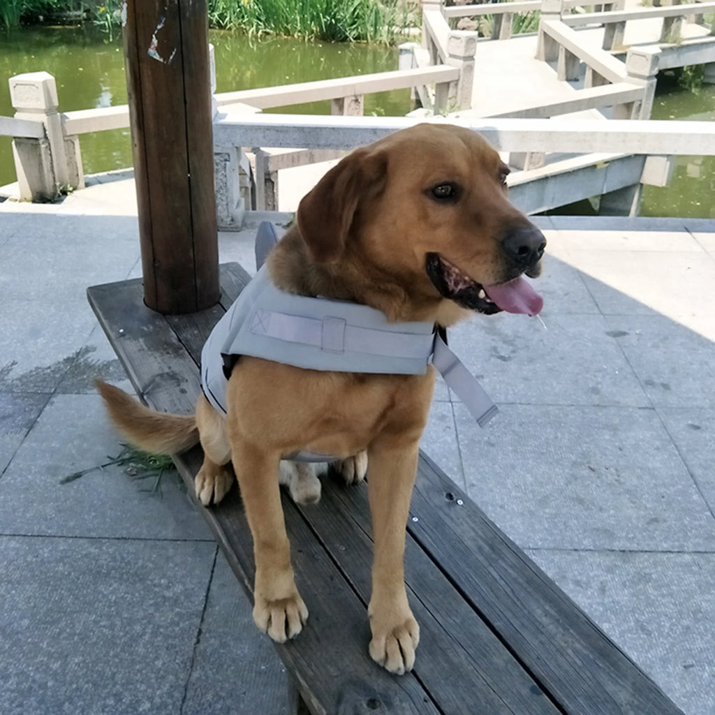 Dog Pet Shark Swimsuit Vest Safety Wear Preserver Q4226