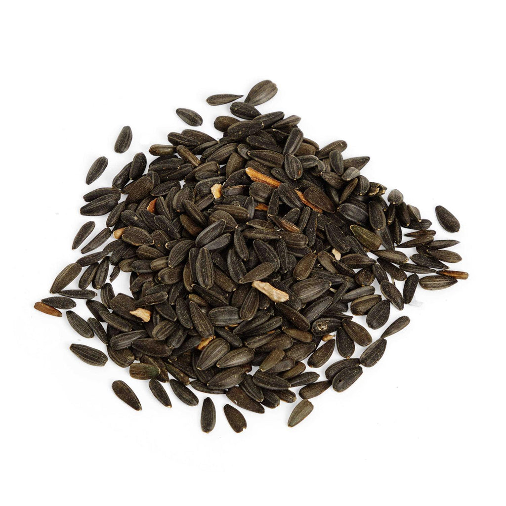 Black Oil Sunflower Seed Wild Bird Food P87326