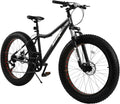 26 inch 7 Speed Double Disc Brake Fat Tire Mountain Bike O2645