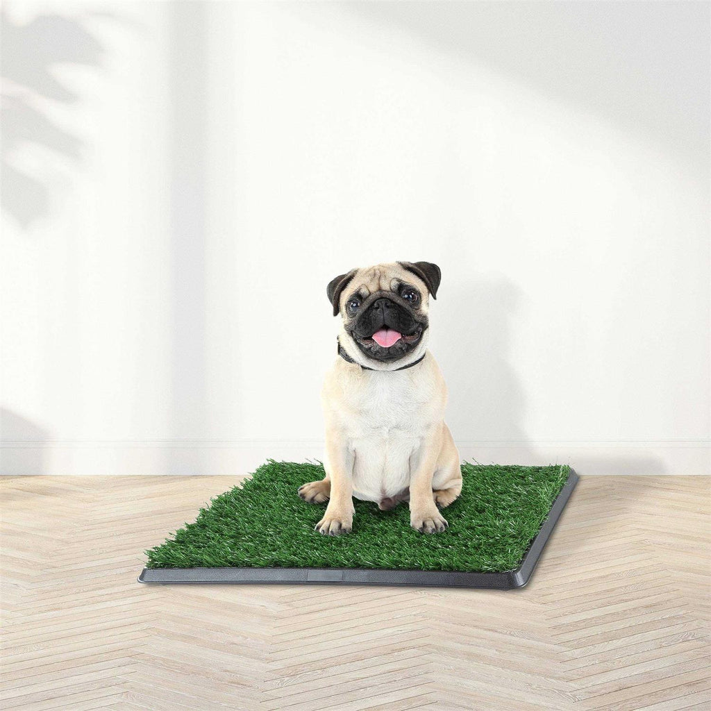 Pet Supplies B224