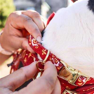 Pet Bells M1724
