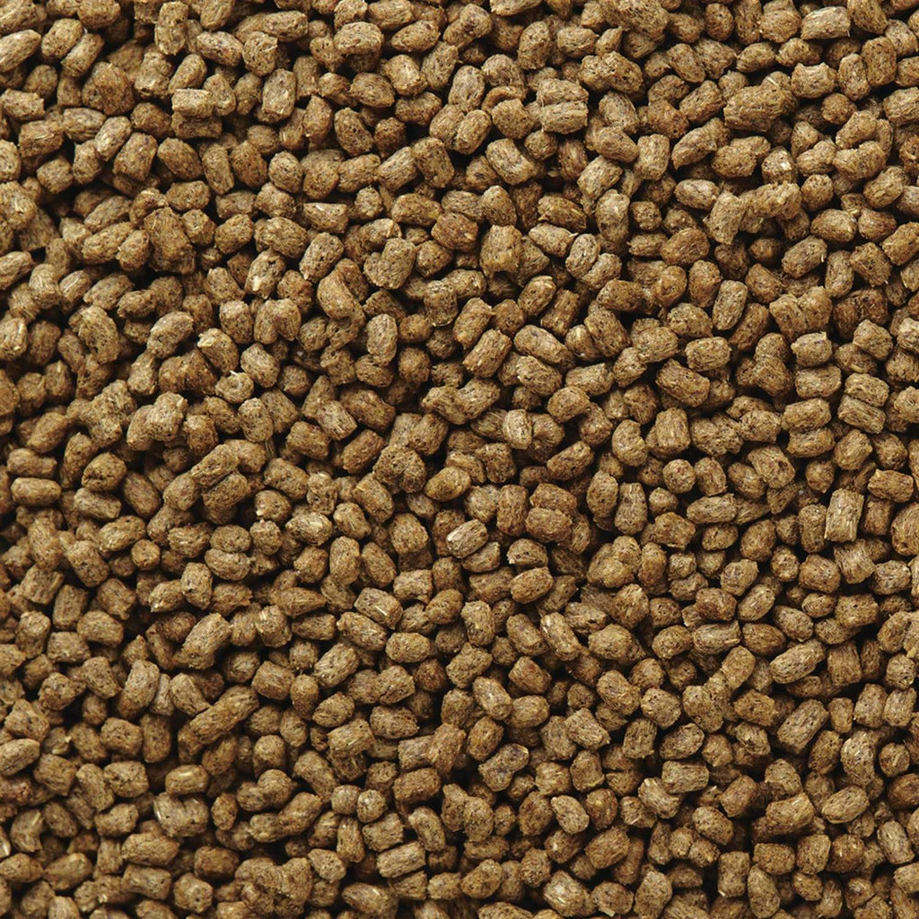 Hedgehog Food R21955