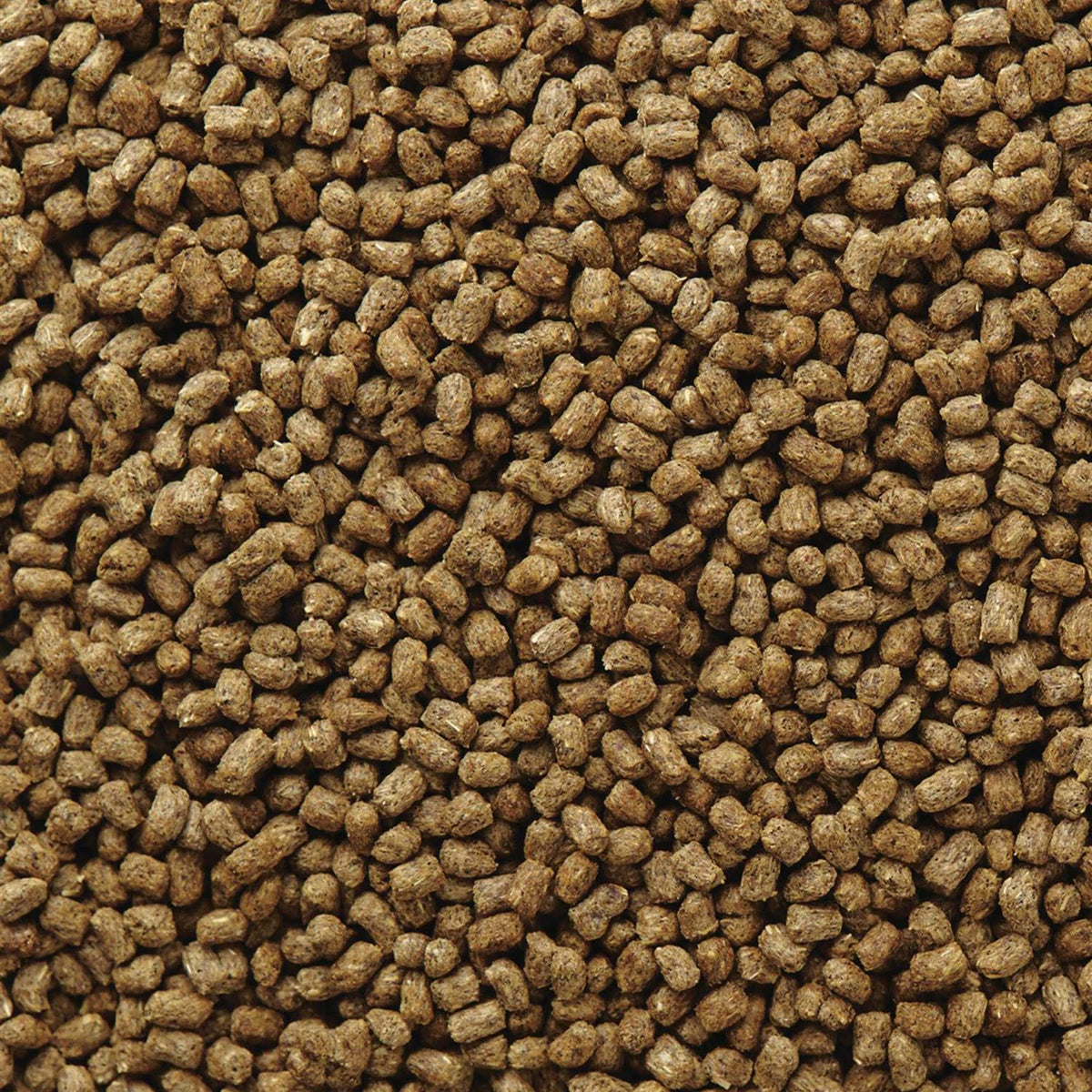 Hedgehog Food R21955