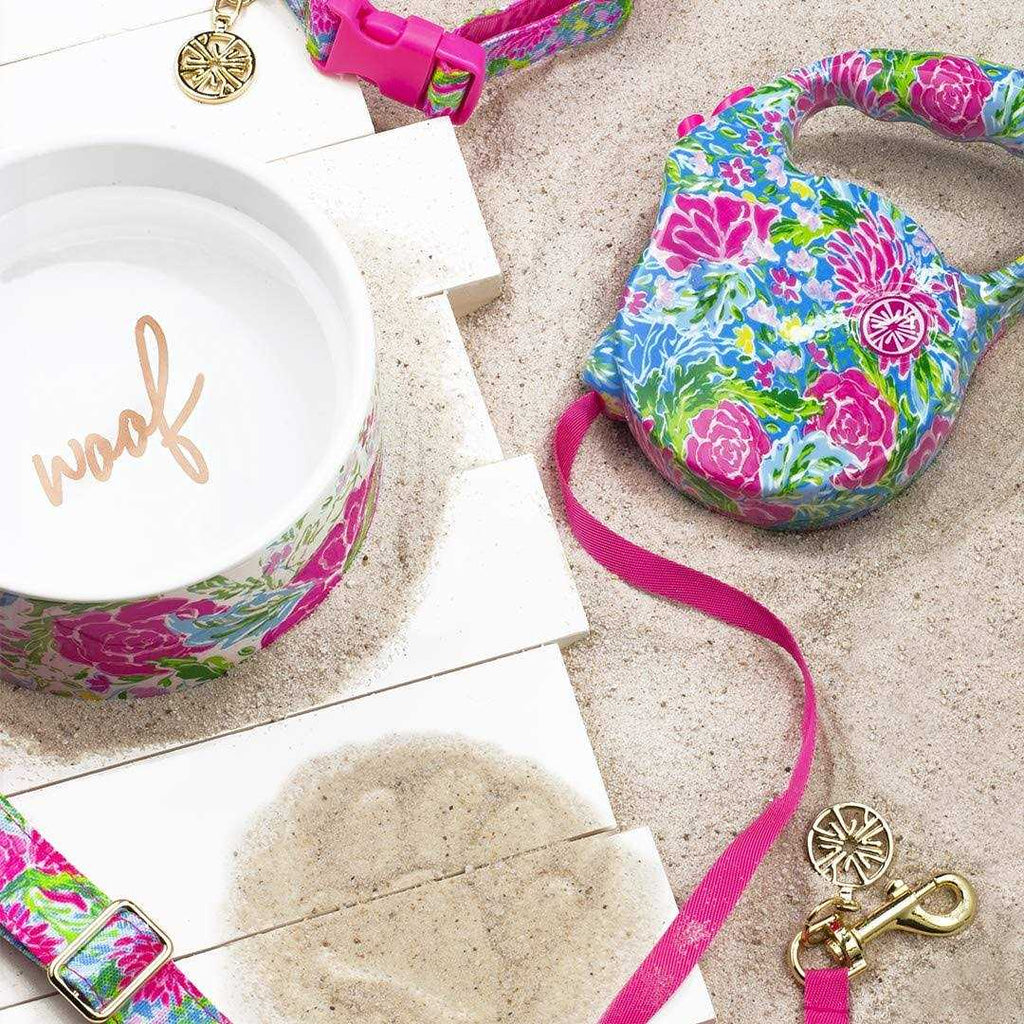 Dog Leash R4816