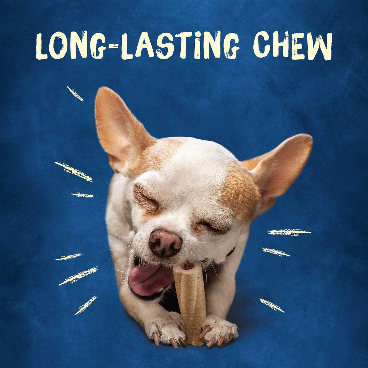 Tiny Dog Treats J377491