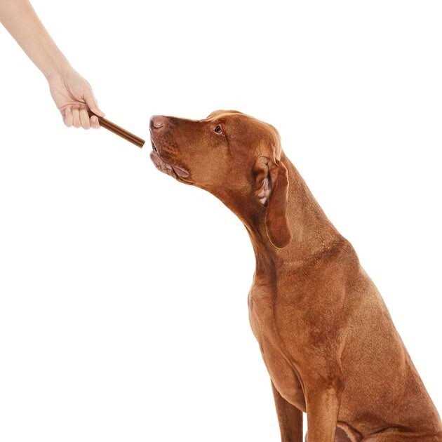 All-Natural Dental Chew Sticks Q4554