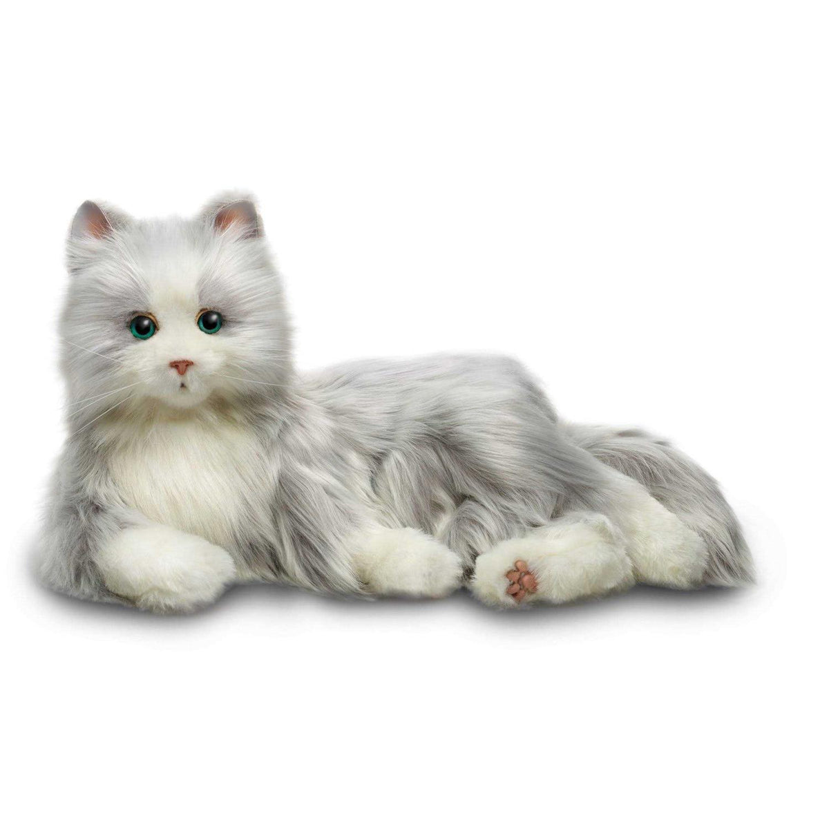 Companion Pet Cat G170