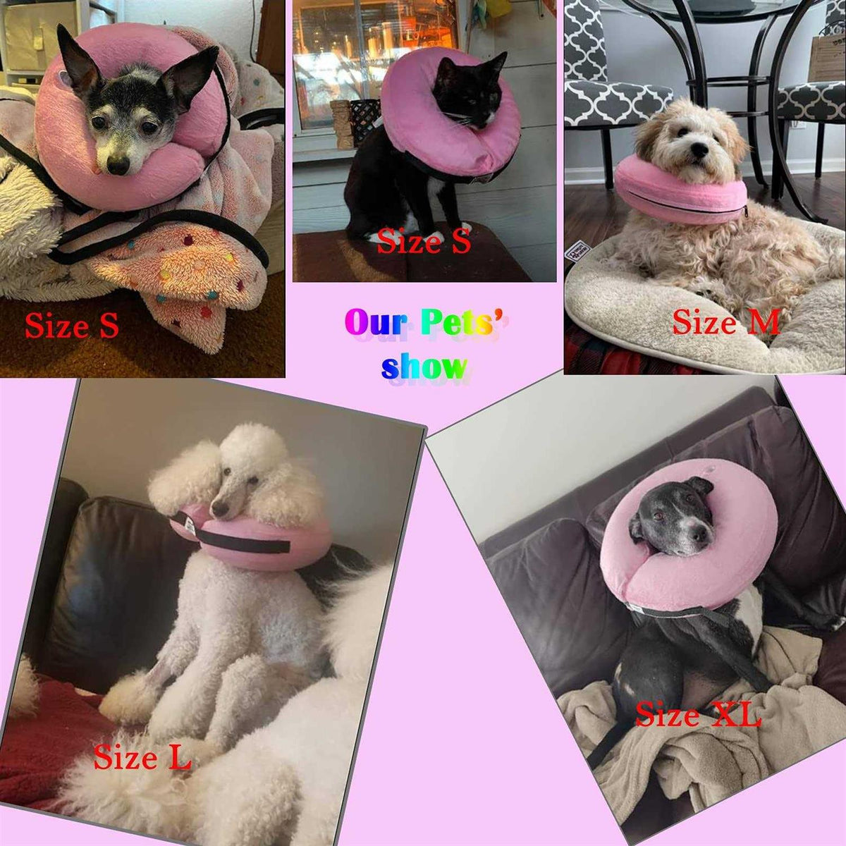 Inflatable Dog Collar O660