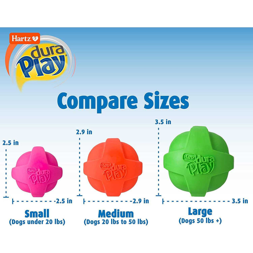 Squeaky Latex Dog Toy T773730