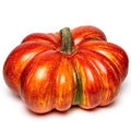 Large Artificial Pumpkin 12.6inch White Speckles J865381