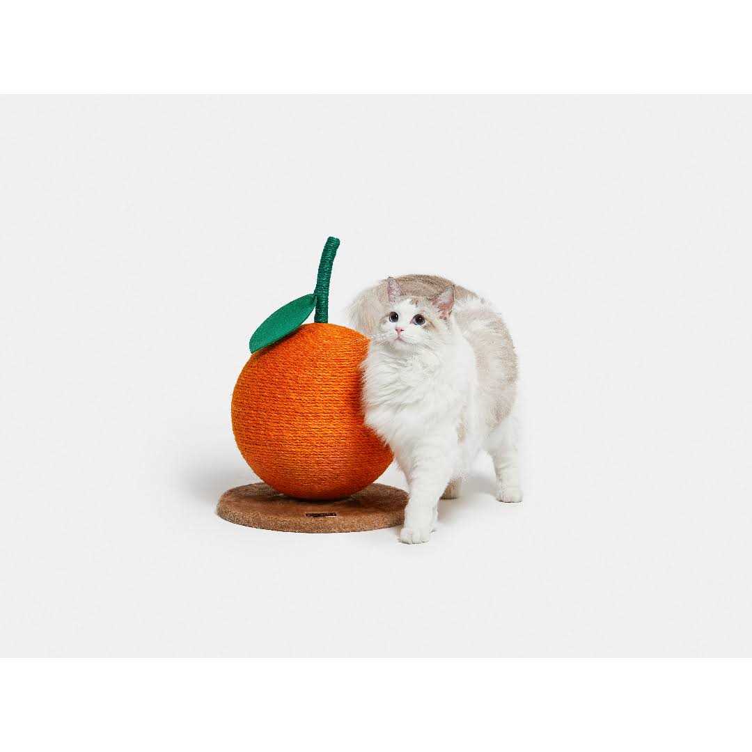 Cat Scratching Ball Toy Z8510