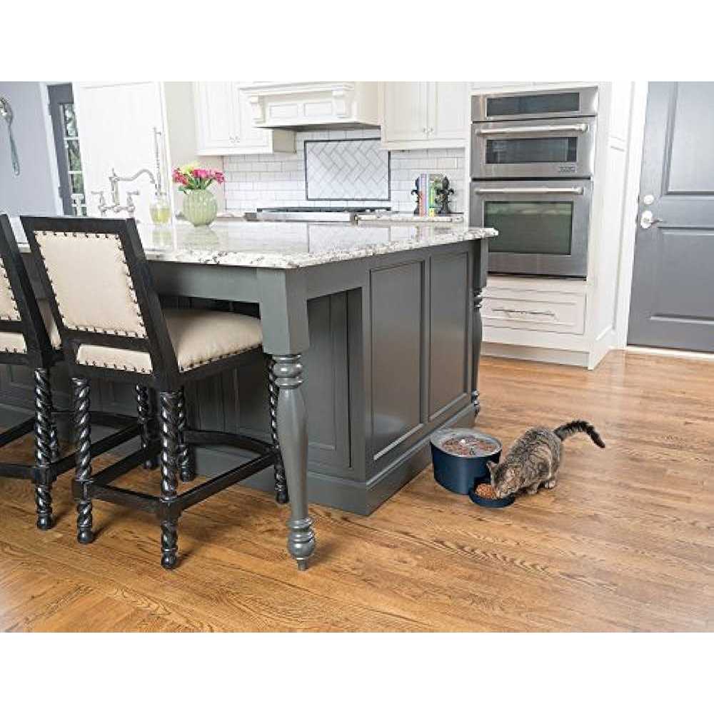 Automatic Pet Feeder Q391670