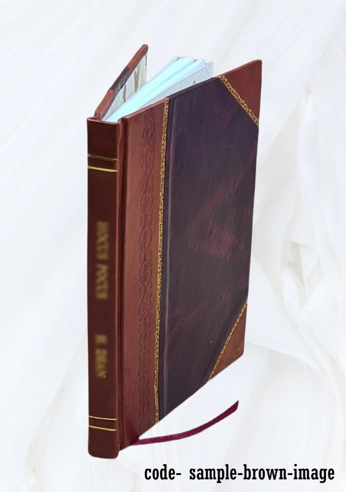 The angler. By Washington Irving. With etched illustrations by Louis K. Harlow. 1892 [Leather Bound] D795