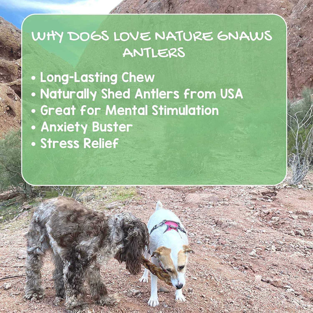 Deer Antlers for Small Dogs Natural Dog Treats F722